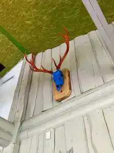 Удачное Кемп - 76