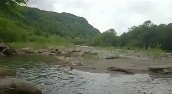 Горная Лаванда - 10