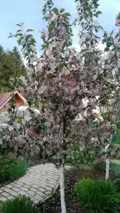 Прибрежное - 4