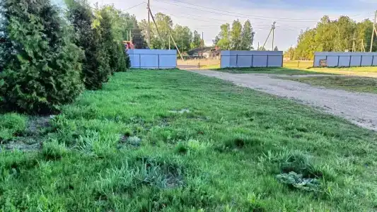 Центральная - 25