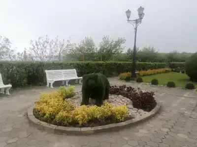 Воевода - 11