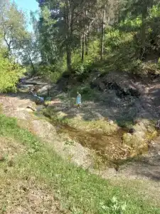 Караканский бор - 20