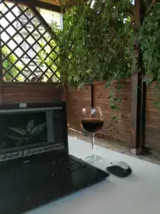 Жемчужина - 48