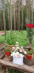 СмородинаХаус - 80