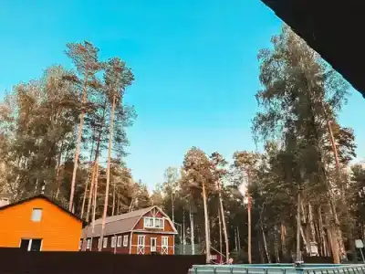 Кедровый Бор - 10
