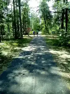 Белое Озеро - 74