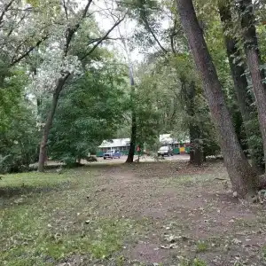 Бодрость - 41