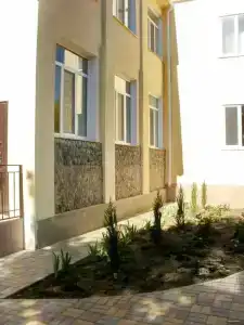 Кипарис - 25