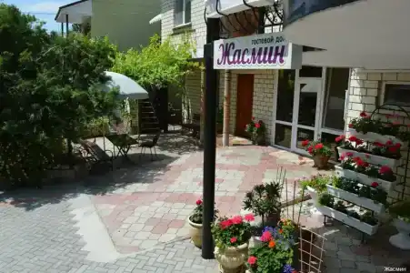Жасмин - 42