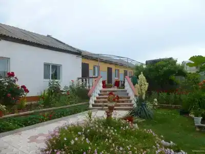 у Алины - 80