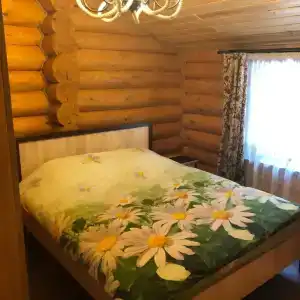 Mountain Dream - 8