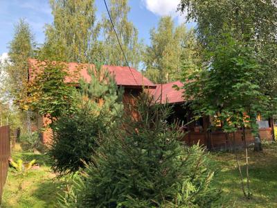 Дом с Русской Баней - 19