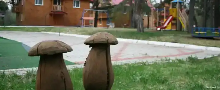 Зеленый Яр - 21