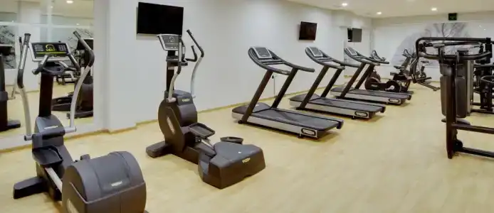 Голден Тюлип - 19