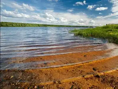 Митричево - 12