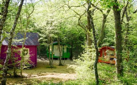 Эколоджия - 48