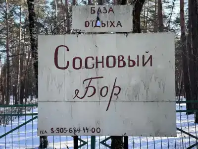 Сосновый бор - 10