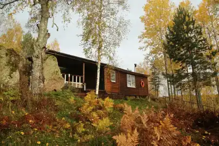 Скала - 1