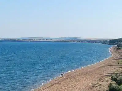 Жемчужный - 20