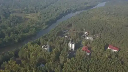 Русский лес - 60