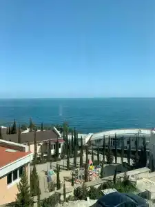 Лаванда - 0