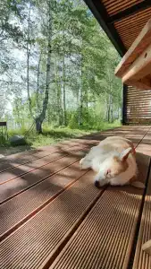 Глэмпинг Ветрено - 65