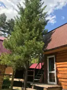 Солнечная - 16