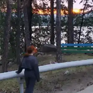 Дзержинец - 13