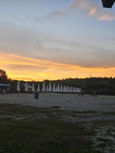 Монахов пруд - 8