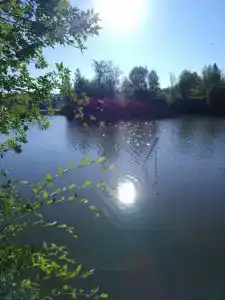 Солёный овраг - 29
