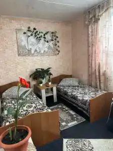 Ной - 3