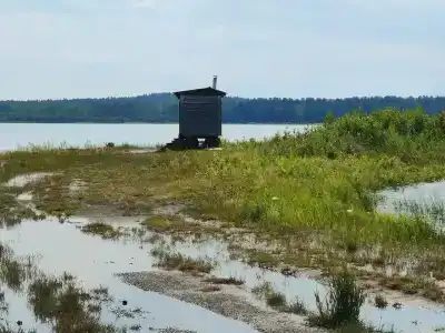Акуля - 13
