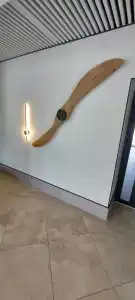 Родина Аэро - 14