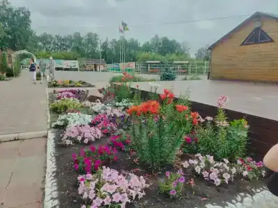 Белая гора - 31