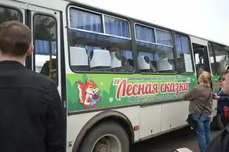 Лесная сказка - 18