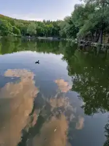 Хвалынский - 47