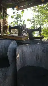 Аурелия - 20