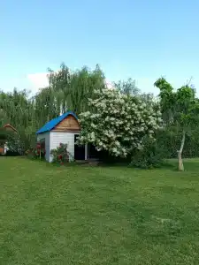 Раздолье - 42