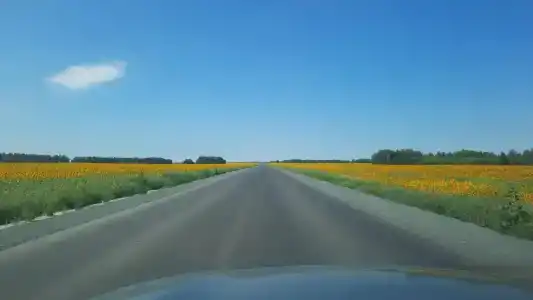 Малое Яровое - 8