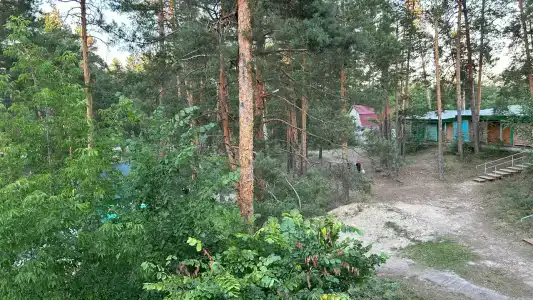 Сура - 46