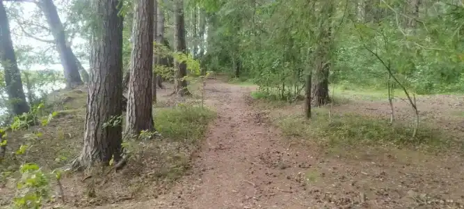 Белое озеро - 66
