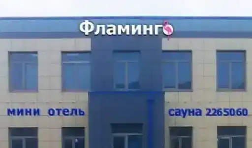 Фламинго - 3