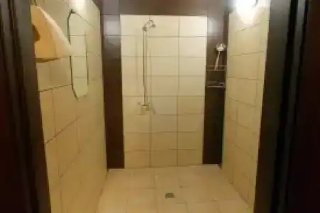 Фламинго - 5