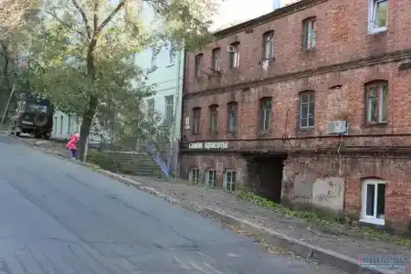 Каштан - 2