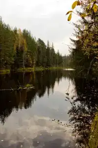 Сечуга - 37