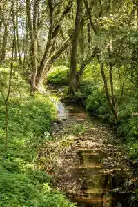 Агроусадьба Беловежская Гостевая - 15