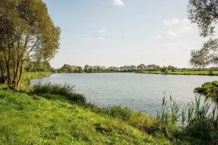 Агроусадьба Беловежская Гостевая - 6