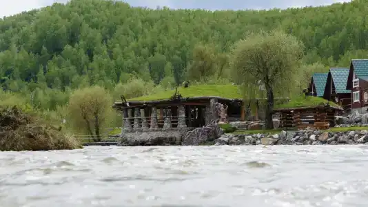 Медвежий Угол Алтай - 35