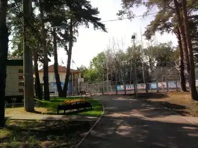 Голубые огни - 13