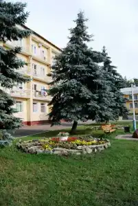 Лесная жемчужина - 41